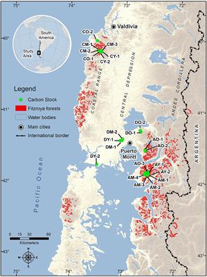 Carbon stocks across different environments, disturbance regimes, and stand age in Fitzroya cupressoides forests, the longest-lived species of the southern hemisphere